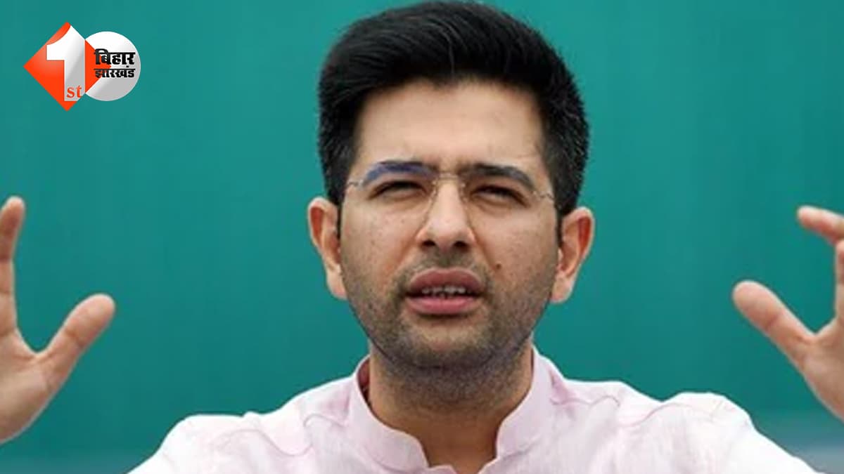 BJP का दामन थामते ही राघव को बड़ा झटका, चड्ढा ने इंस्टाग्राम पर खो दिया 10 लाख फॉलोअर्स