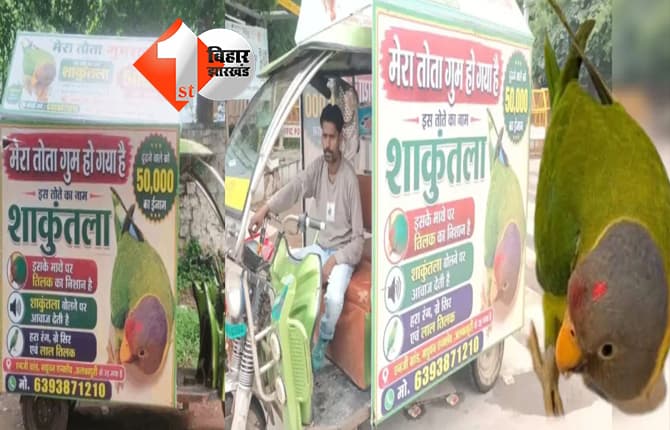 लापता हुई लाडली तोता शाकुंतला, ढूंढने वाले को 50 हजार रुपये इनाम, दादी-पोती ने खाना-पानी छोड़ा