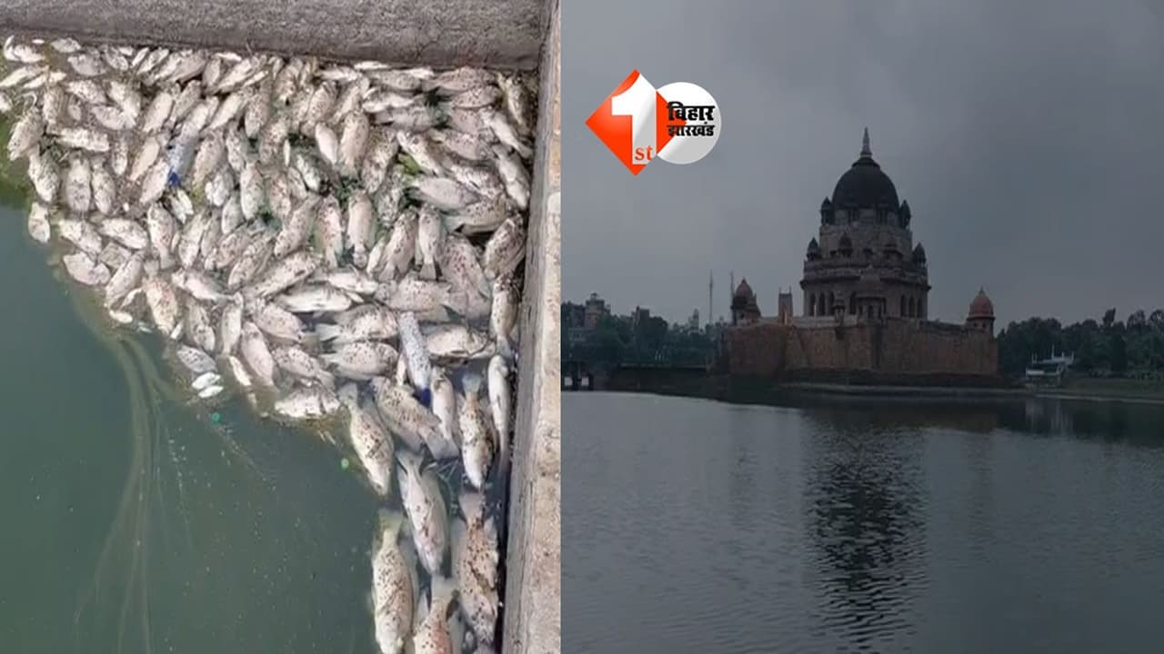 ऐतिहासिक शेरशाह सूरी मकबरे के तालाब में 10 क्विंटल तक मछलियां मरीं, लाखों का नुकसान; क्या है वजह?