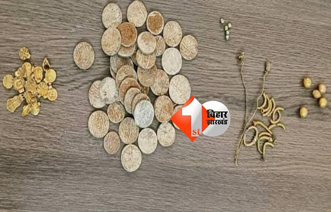 खेत में मिले सोने के गहने, हिस्सेदारी को लेकर विवाद, लीज पर जमीन लेने के लिए मची होड़