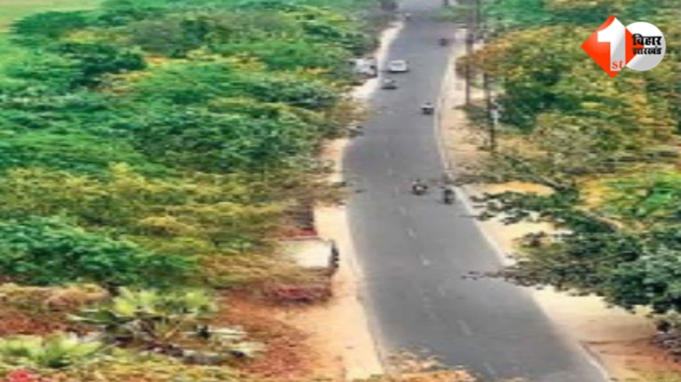 Bihar Road News, Patna Road Project, Bihta Danapur Road, Path Nirman Vibhag Bihar, NH-30 Bihta Chowk Danapur Road, Bihar Infrastructure, Bihar Tender News