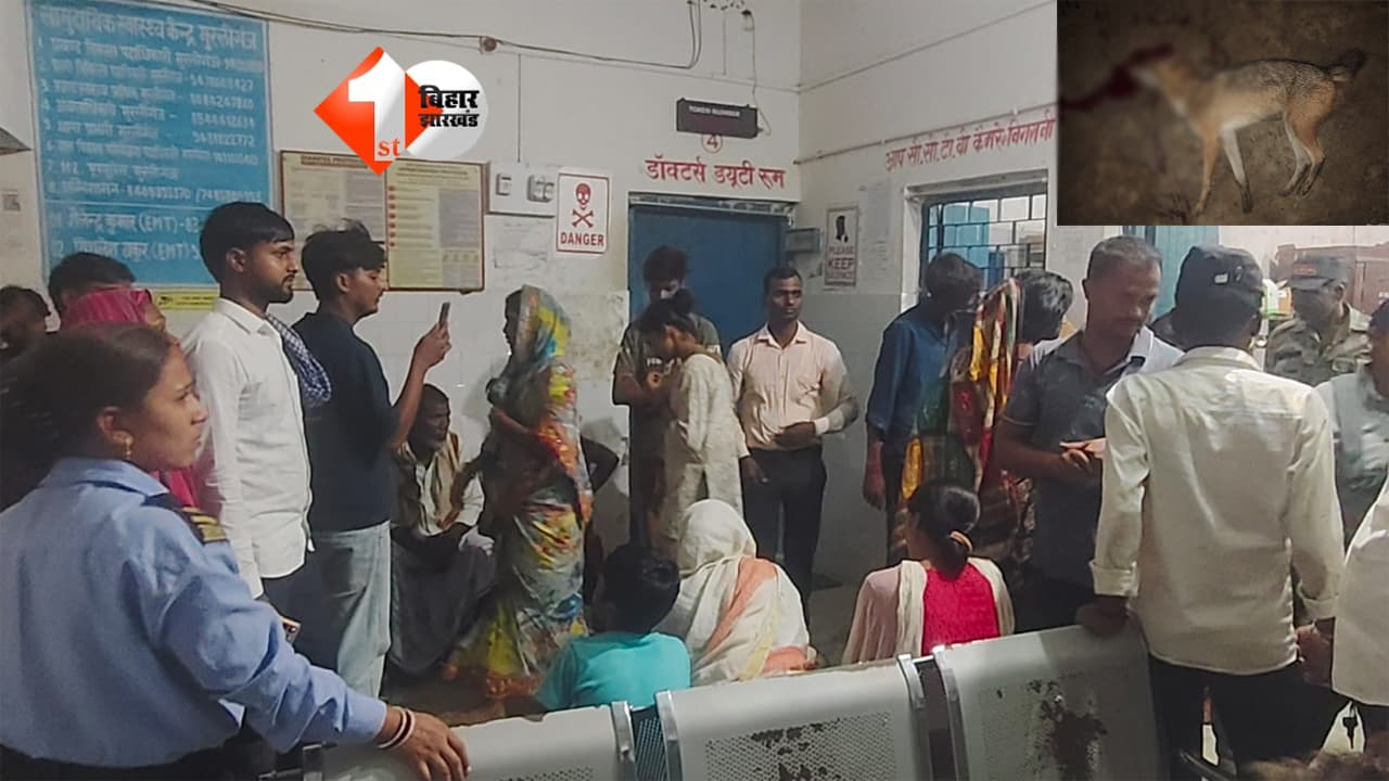 सियार का आतंक: बच्चे-महिला समेत चार लोगों को किया जख्मी, ग्रामीणों ने पीट-पीटकर मार डाला