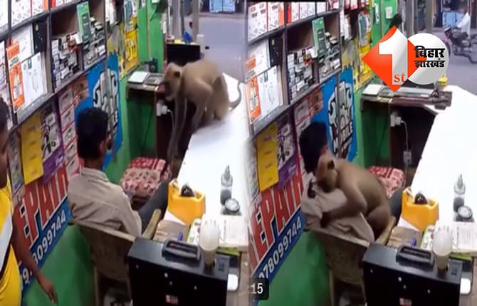 लंगूर की ‘जादू की झप्पी’ ने जीता दिल, दुकानदार को गले लगाने का वीडियो वायरल
