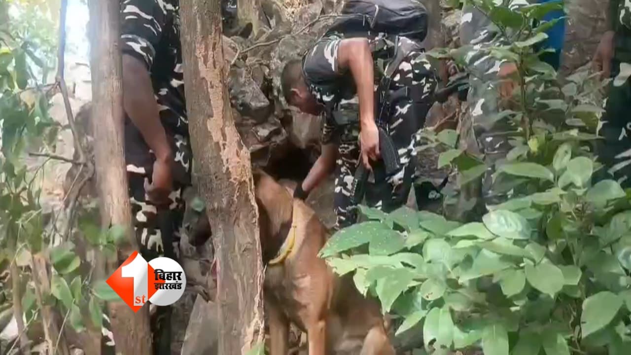 मनियारा जंगल में SSB की बड़ी कार्रवाई, नक्सलियों के छिपाए दो राइफल समेत 4 हथियार और 22 जिंदा कारतूस बरामद