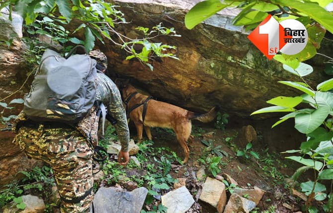 जमुई के चोरमारा जंगल में CRPF का सर्च ऑपरेशन, 2 देसी पिस्टल और 11 कारतूस बरामद