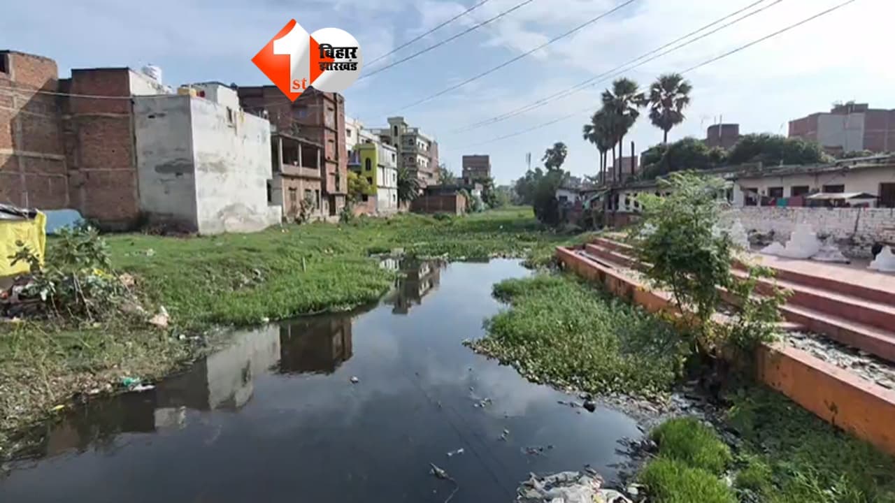 अतिक्रमण और कचरे से कराह रही छाड़ी नदी, DM ने लिया बड़ा फैसला; 5 अमीन करेंगे जमीन का सर्वे