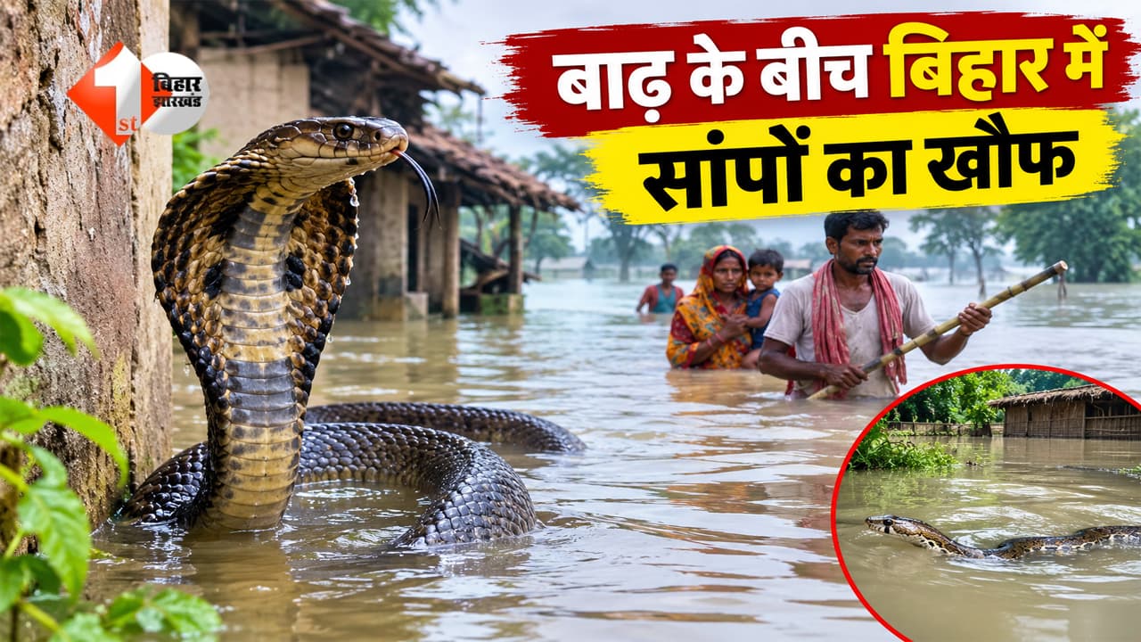 बिहार में बाढ़ के बीच बढ़े स्नेक बाइट के मामले, पटना के अस्पतालों में पहुंचे 81 मरीज; 9 लोगों की मौत